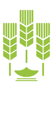 partnyor30